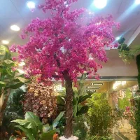 گرینوال رزوال درخچه شکوفه درخچه لمسی فلاور وال|گل مصنوعی|تهران, هاشم‌آباد|دیوار