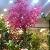 گرینوال رزوال درخچه شکوفه درخچه لمسی فلاور وال|گل مصنوعی|تهران, هاشم‌آباد|دیوار
