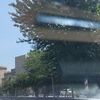 راهنمایی وانجام امورات