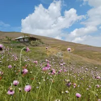 تور خصوصی گیلان گردی