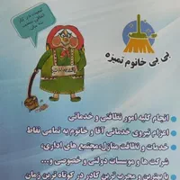 نیروی نظافتی