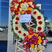 گلکده نرگس تاج گل|گل و گیاه طبیعی|تهران, بازار|دیوار