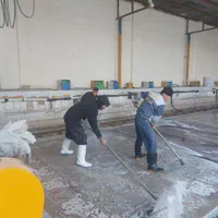 قالیشویی معین اصلی