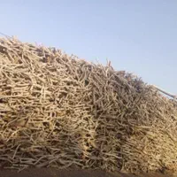 زغال سفید قلم درجه یک چوب پسته|عمده‌فروشی|مشهد, عبادی|دیوار