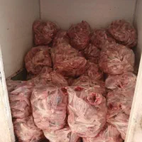 اسکلت مرغ غذای حیوانات خانگی|لوازم جانبی حیوانات|اصفهان, ارغوانیه|دیوار