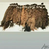 خریدار موی خام و رنگی