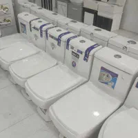 توالت‌ فرنگی*مدل طوسی/کدTaussssdiee