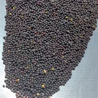 دانه کلزا تمیز و سورت شده و روغن کلزا خالص|عمده‌فروشی|ری, جوانمرد قصاب|دیوار