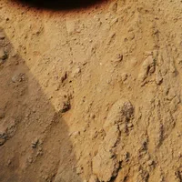 ماسه،خاک باغچه،کود،خاک رس،ماسه بادی و بادامی|عمده‌فروشی|رشت, نظری|دیوار