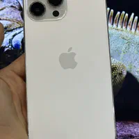 Iphone 13 pro Max 256gig|موبایل|کرج, گوهردشت|دیوار
