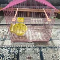 قفس پرنده قناری