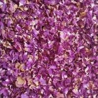 دستگاه میوه و سبزی خشک کن تراشه پرداز|سایر لوازم برقی|تهران, جنت‌آباد شمالی|دیوار