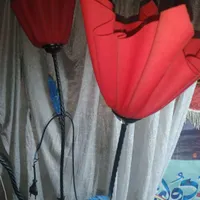 آباژور