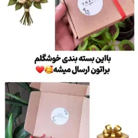 گردنبند جادویی(حرارتی)|بدلیجات|سیرجان, |دیوار