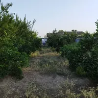 معاوضه تهاتر خانه باغ با واحد تجاری|فروش مغازه و غرفه|تهران, هفت حوض|دیوار
