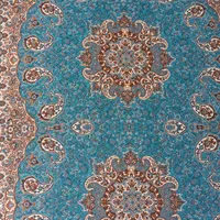 تشک تک شاه نشین در رنگ بندی|پشتی|یزد, |دیوار