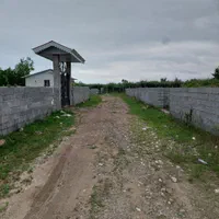 زمین مسکونی سند تک برگ لیسار|فروش زمین و ملک کلنگی|تالش, هشتپر|دیوار