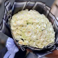 گل رز هلندی چین روز از گلخونه|گل و گیاه طبیعی|شیراز, قدوسی شرقی|دیوار