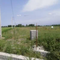 زمین ۱هکتاری/با پروانه گلخانه/با سند تک برگ