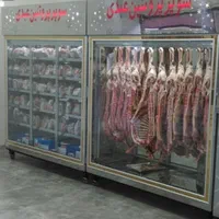 یخچال مرغ و گوشت استیل|فروشگاه و مغازه|شیراز, شهرک گلها|دیوار