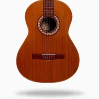 پارسی M5 گیتار|گیتار، بیس، امپلیفایر|اهواز, کیانپارس |دیوار