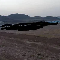 ۴۰۰مترزمین دربیدگنه خ رسالت برجاده دونبش|فروش زمین و ملک کلنگی|کرج, شهرک بنفشه|دیوار
