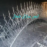 حفاظ شاخ گوزنی|خدمات پیشه و مهارت|رشت, جانبازان|دیوار