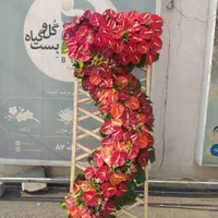 تاج گل نمایشگاهی افتتاحیه بین المللی تبریکی|گل و گیاه طبیعی|تهران, شهرک محلاتی|دیوار