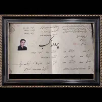 کارگربارگیری و اتوبار ساعی100%|خدمات حمل و نقل|شیراز, معالی‌آباد|دیوار