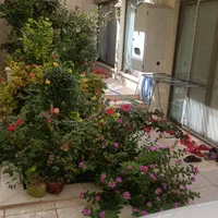 باغبانی ودرختکاری|خدمات باغبانی و درختکاری|اصفهان, عاشق‌آباد|دیوار