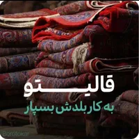 کارخانه قالیشویی و مبلشویی بانو|خدمات نظافت|شاهینشهر, چمران|دیوار