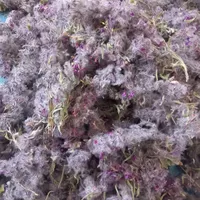 چای گوهی پشمینه کلکنه کلکینه|خوردنی و آشامیدنی|سراب, |دیوار