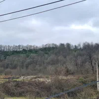 ۳۵۰ مترزمین مسکونی جاده 2000 روستای سلیم آباد|فروش زمین و ملک کلنگی|تنکابن, |دیوار