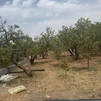 زمین‌و‌باغ۱۵۸متری‌با‌سندواب‌و‌برق‌‌جابان‌دماوند|فروش زمین و ملک کلنگی|دماوند, |دیوار