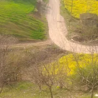 اجاره روزانه/هفتگی/ماهانه ویلا ۵۵ متری|اجارهٔ کوتاه‌مدت ویلا و باغ|رامیان, |دیوار