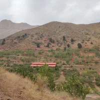زمین باغ ۸۵۰ متر لواسان بزرگ/جورد/وسکاره/ایرا|فروش زمین و ملک کلنگی|لواسان, |دیوار