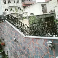 حفاظ شاخ گوزنی|خدمات پیشه و مهارت|سبزوار, |دیوار