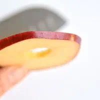 خشک کن میوه دستگاه اسلایسر هسته گیر 2نازله سری MEH|ماشین‌آلات صنعتی|ارومیه, |دیوار