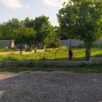 زمین۳۴۱مترسندوپروانه گیلان رشت انزلی خمام حسن رود|فروش زمین و ملک کلنگی|خمام, |دیوار