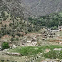 اسکان رایگان