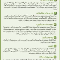 گوسفند چندقلوزا(ژن‌دار) همو - هترو|حیوانات مزرعه|مشهد, دانشگاه فردوسی|دیوار