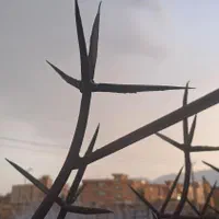 حفاظ جانپناه نرده تراس نرده لبه استخر|مصالح و تجهیزات ساختمان|شیراز, شهرک بزین|دیوار