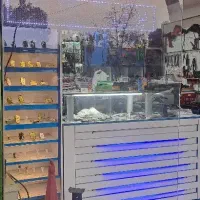 ایسیوECU،برق خودرو،باطری سازی،دیاگ تخصصی