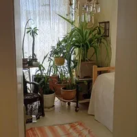 ۲۵۰متر ویلایی۳خواب روبروی کوه پارک هفت تیر(تخلیه)|اجارهٔ خانه و ویلا|مشهد, هفت تیر (حافظ)|دیوار