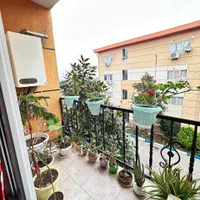 آپارتمان شهرکی با ویوی جنگل با سند|فروش آپارتمان|امامزاده عبدالله, |دیوار