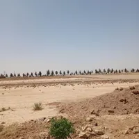 فروش زمین ۲۰۰ متری مسکونی گرگاب روبرو کلانتری|فروش زمین و ملک کلنگی|شاهین‌شهر, گرگاب|دیوار
