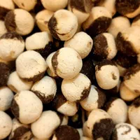 کشک دورنگ لواشک معجون