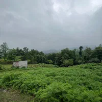 زمین مسکونی ۶۰۰ متری معاوضه در چماچا ویوی عالی|فروش زمین و ملک کلنگی|رشت, گلسار|دیوار