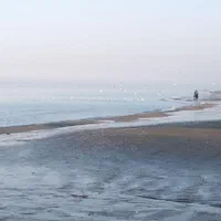 اجاره ویلا یکخواب و دوخواب دقیقا لب دریا پلاک اول|اجارهٔ کوتاه‌مدت ویلا و باغ|رامسر, |دیوار