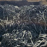 نوار تیپ،قطره ای،لوله بالا ترین قیمت